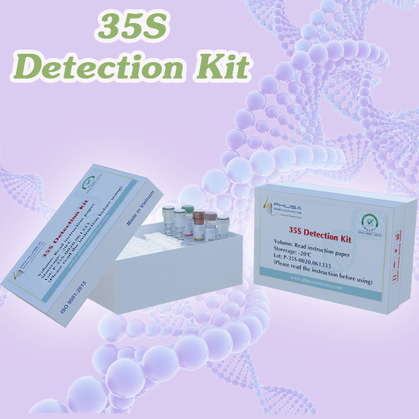 35S Detection Kit