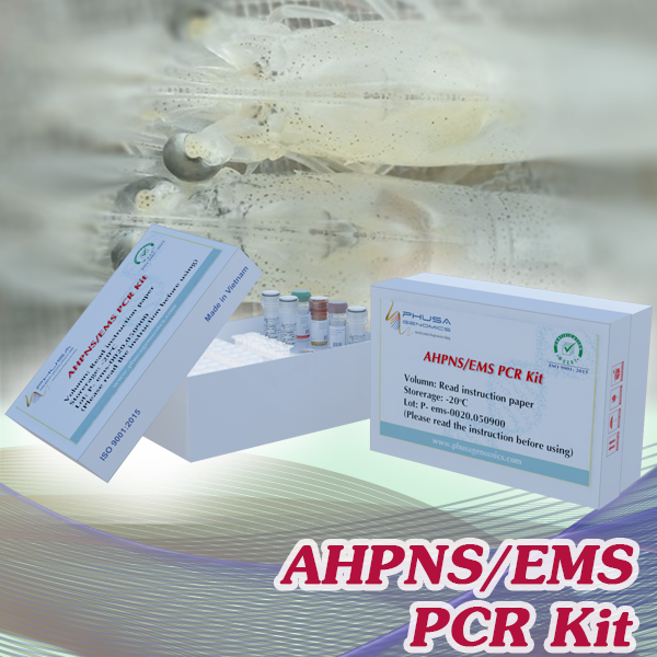 AHPNS/EMS PCR Kit