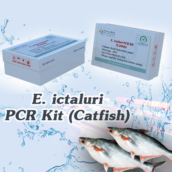E. ictaluri PCR Kit (Catfish)