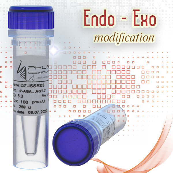 Endo-Exo Modification