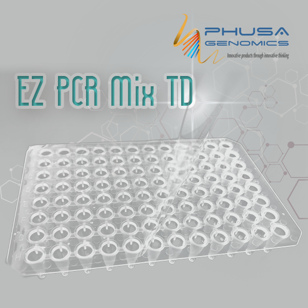 EZ PCR mix TD