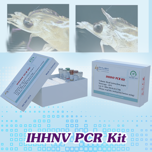 IHHNV PCR Kit