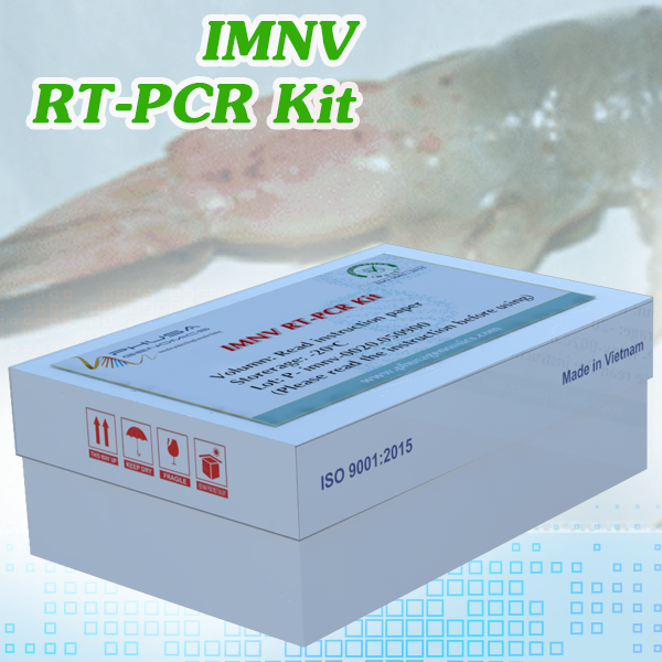 IMNV RT-PCR Kit