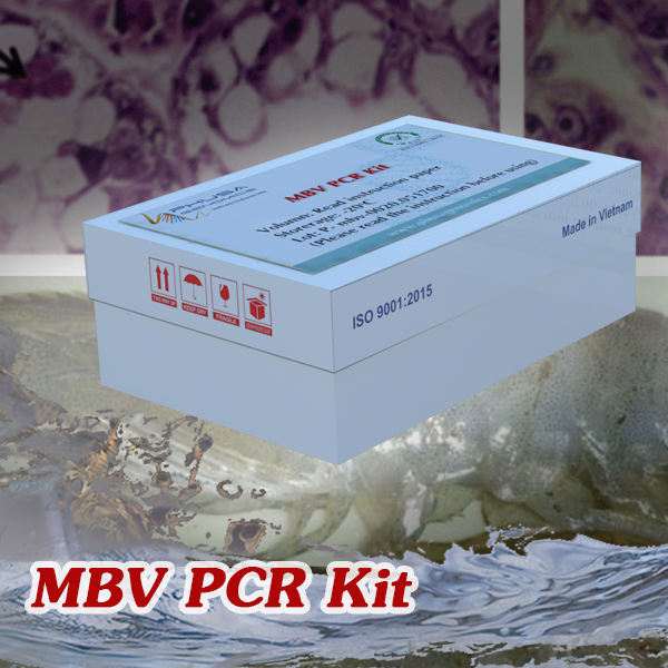 MBV PCR Kit