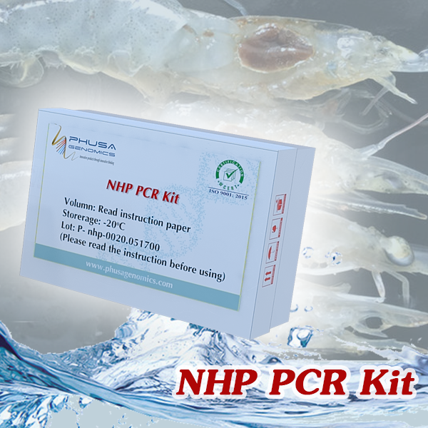NHP PCR Kit