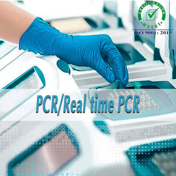 PCR/Real time PCR