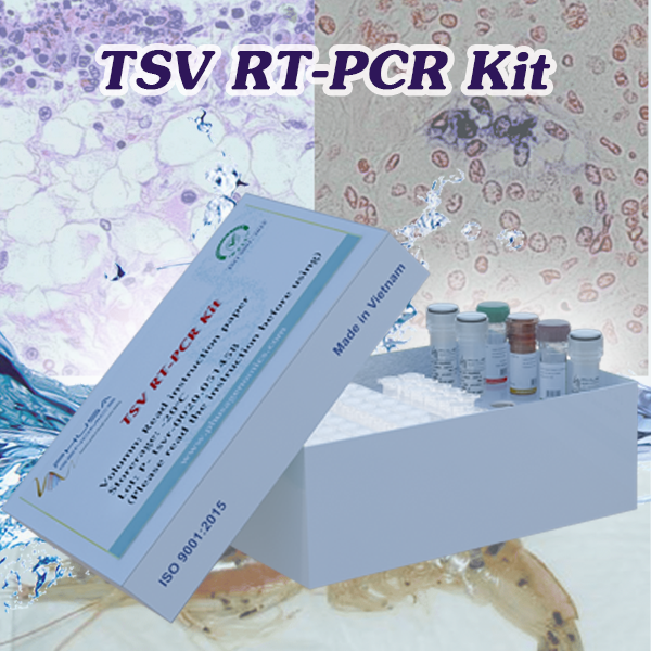 TSV RT-PCR Kit