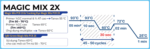 High Speed PCR với  Magic Mix PCR 2X - Phù Sa Genomics