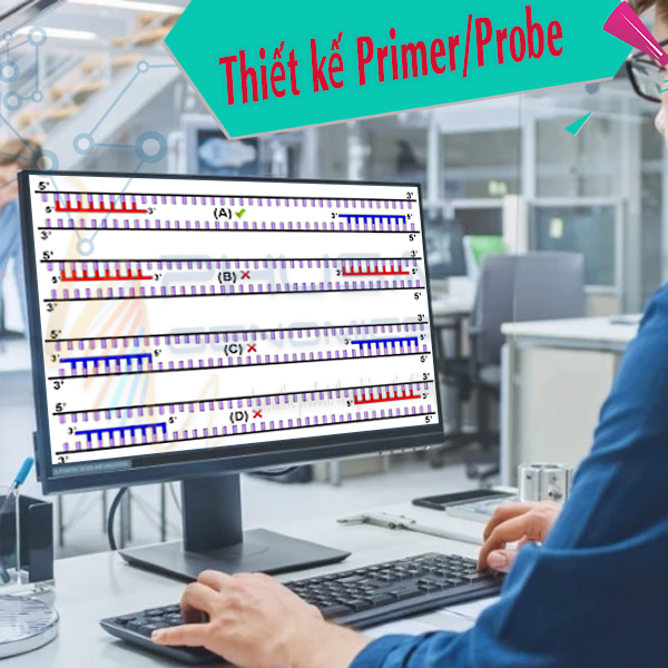 Thiết kế Primer/Probe