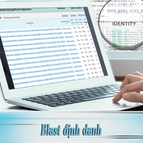 Blast định danh NCBI