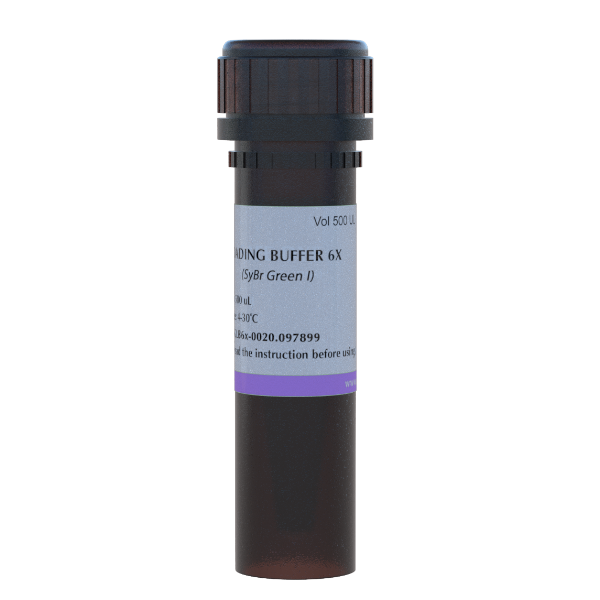 Loading buffer 6X with SyBr Green, solution