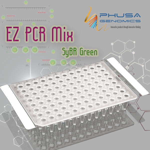 EZ PCR Mix SyBr Green