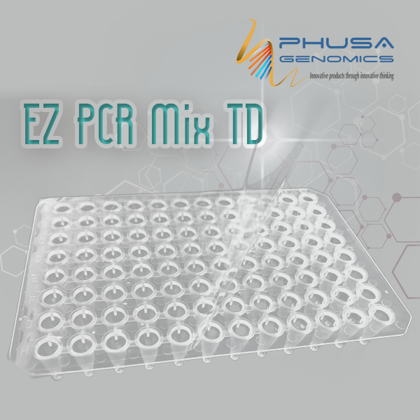 EZ PCR Mix TD